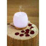 ETA Sento 2634 90000 - Aroma diffúzor (Érd)